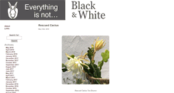 Desktop Screenshot of everythingisnotblackandwhite.com