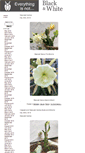 Mobile Screenshot of everythingisnotblackandwhite.com