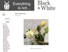 Tablet Screenshot of everythingisnotblackandwhite.com